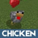 chicken-mod-minecraft-pe-500×500-c-default.jpg