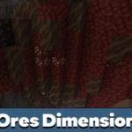 ore-dimension-500×500-c-default.jpg