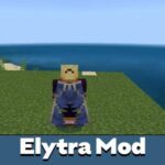 elytra-500×500-c-default.jpg