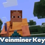 veinminer-key-mod-500×500-c-default.jpg