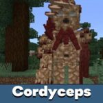cordyceps-mod-500×500-c-default.jpg