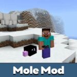 mole-mod-500×500-c-default.jpg