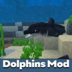 dolphins-mod-500×500-c-default.jpg