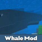 whale-mod-500×500-c-default.jpg