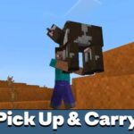 players-pick-up-and-carry-mod-500×500-c-default.jpg