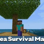 sea-survival-map-500×500-c-default.jpg