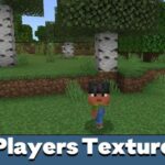 players-texture-pack-500×500-c-default.jpg