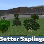 better-saplings-500×500-c-default.jpg