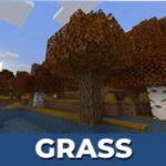 grass-texture-minecraft-pe-500×500-c-default.jpg
